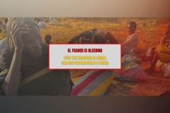Elfashir